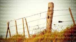 Landscape design ideas